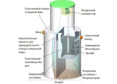 Панда Киота 5